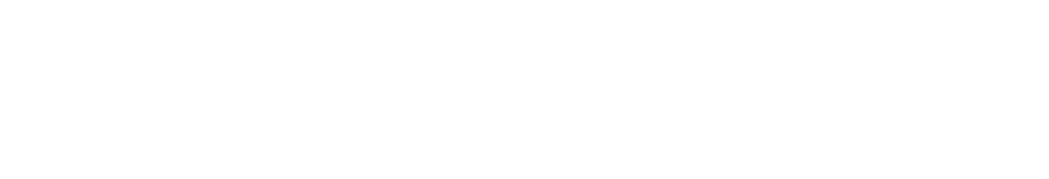 Stanno Logo